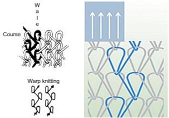 warp knitting